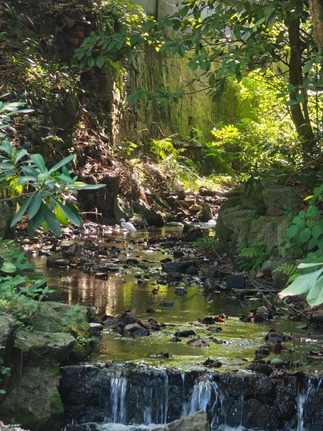 好天气真的太适合徒步啦⛰️空气清新 满眼都是绿色🍃身心都被治愈了~ ​​​