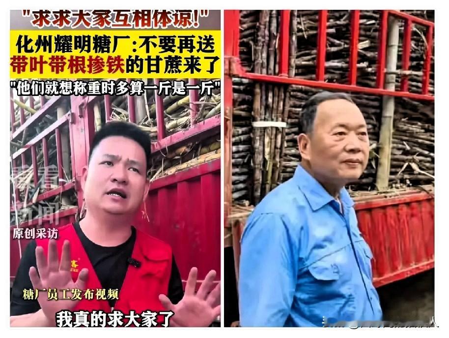 化州耀明糖厂发话求蔗农：不要再送甘蔗来了！
不是不收甘蔗，是不收有问题的甘蔗！？