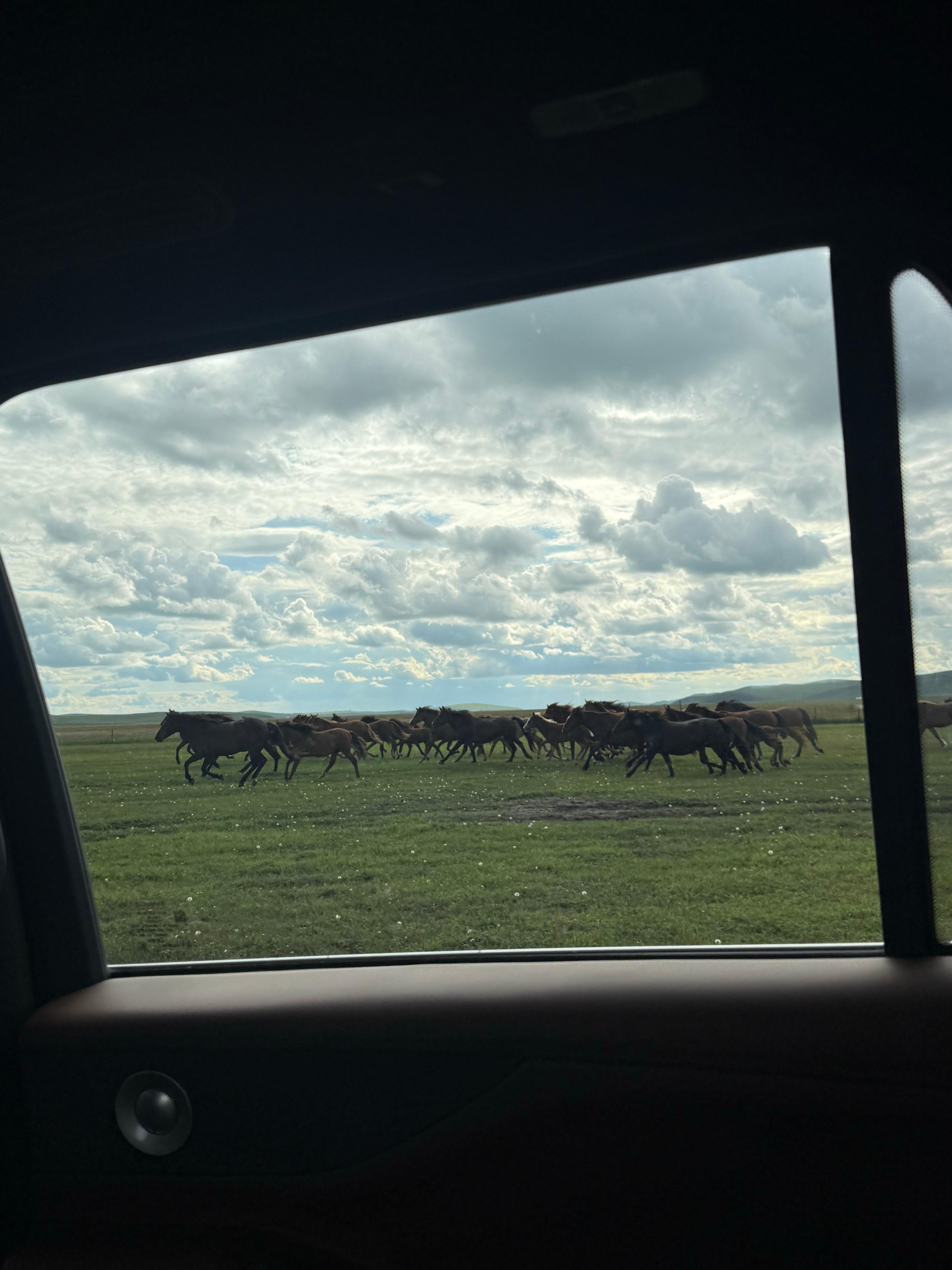 赛马🐎🐎🐎  ​​​