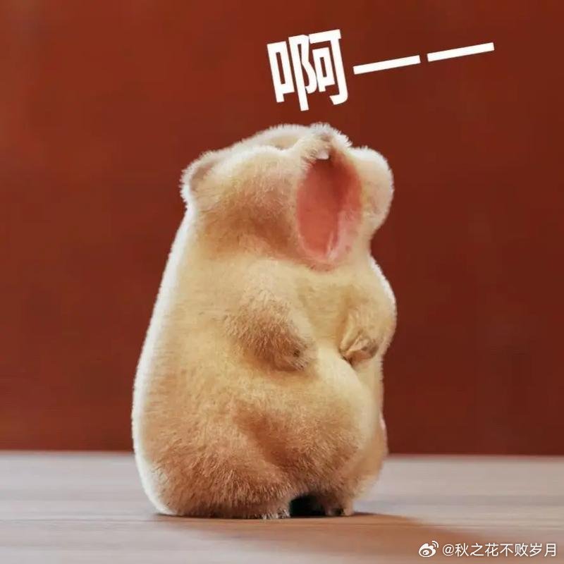 当我以为自己藏的天衣无缝 大家关心的不是我藏得好不好，是我摔了没。 