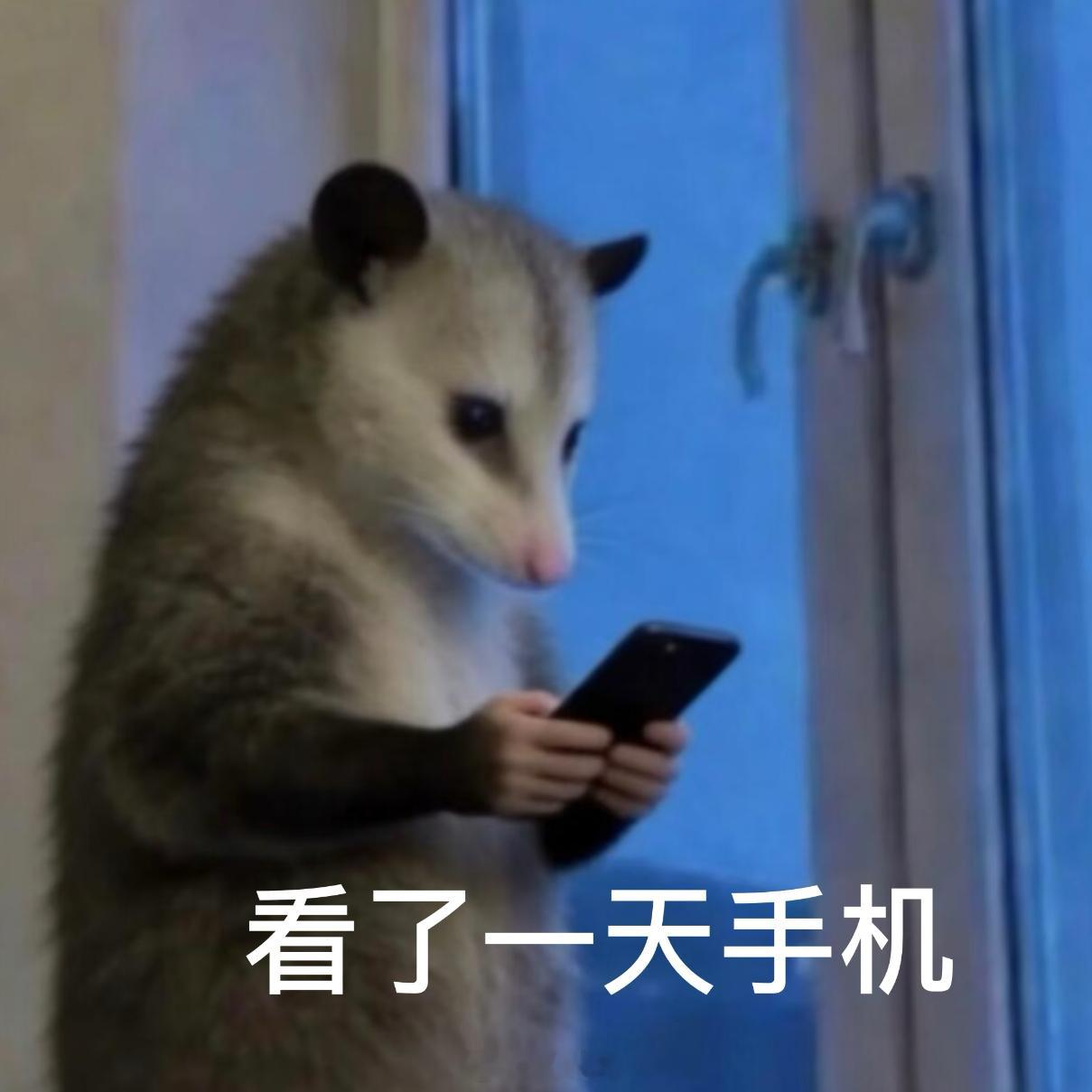 紧跟热点的鼠鼠表情包 当时以为是我敏感了 看了一天手机 我想说当时确实不舒服 