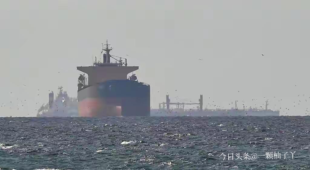 台湾那边就开始慌了，天天担心油不够、气不稳，生怕哪天突然断供。面对岛内的焦虑，国