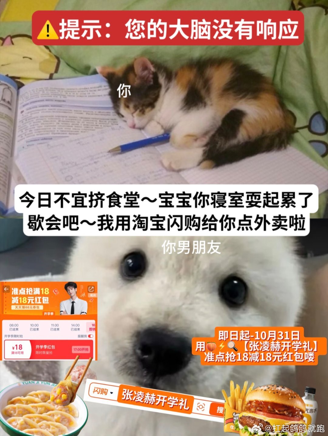 武汉终于轮到了！！9.15–9.17武汉纺织大学阳光校区张凌赫痛校快闪直接安排！
