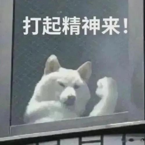兄弟们，昨晚3中2，本来是个挺稳的收米夜，结果硬生生被哈马比给恶心到了！真的服了