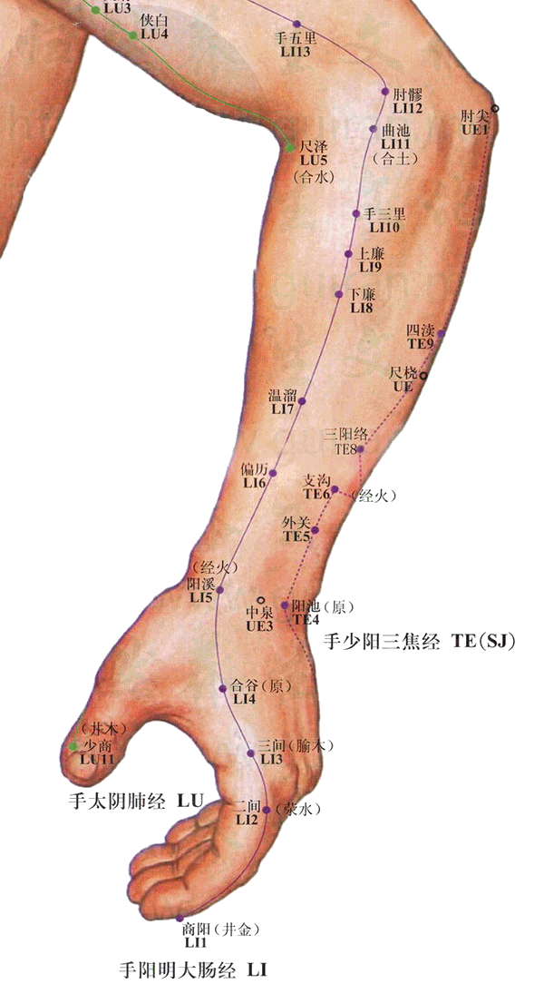 手臂藏着一个穴，专调妇科、寒症、囊肿和包块，很多人都不知道！人体有很多穴位，像足