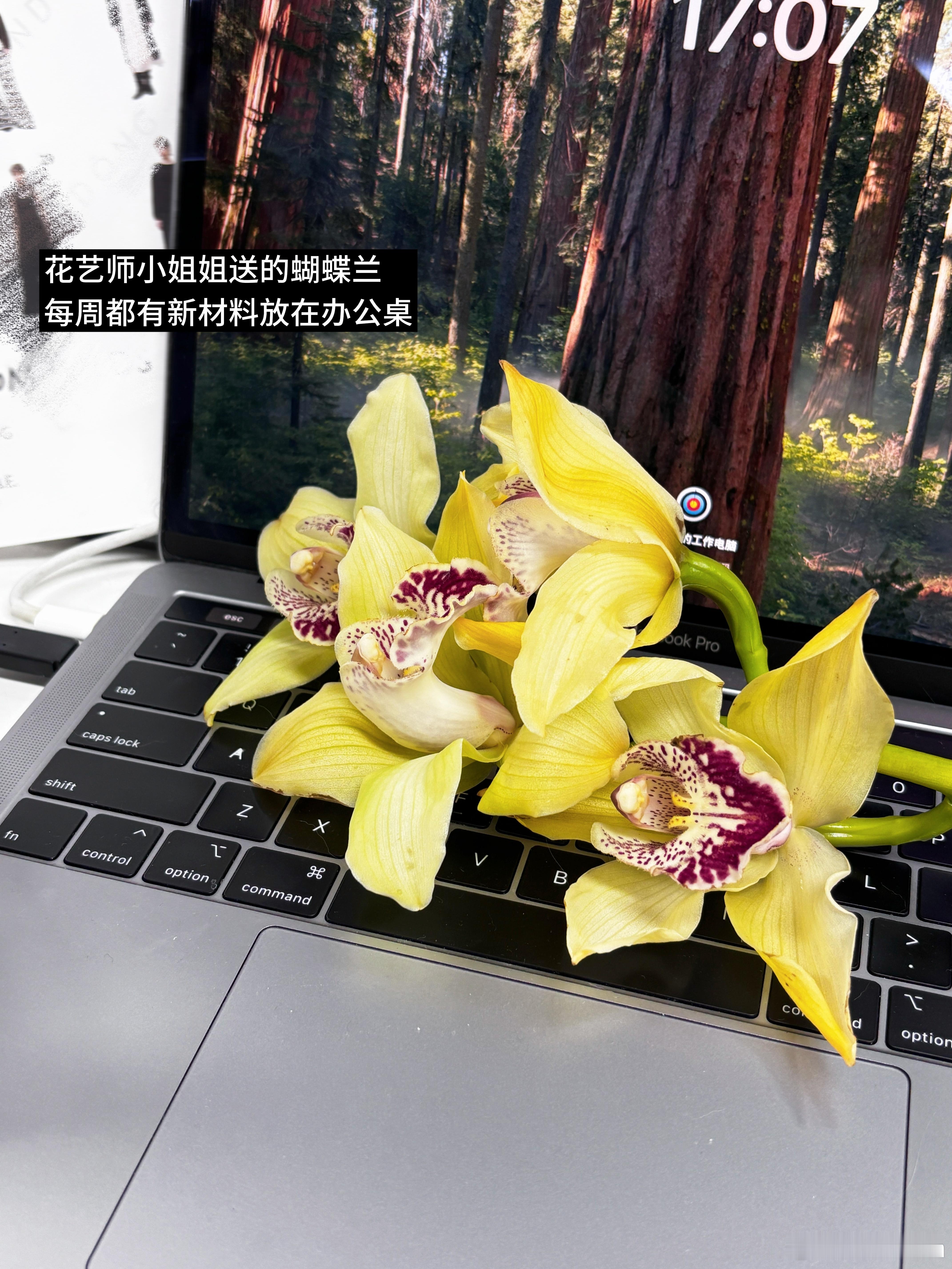 十月工作𝑃𝑙𝑜𝑔📝/最近感悟“要学会在职场中做淡人”早点起床把控通勤时