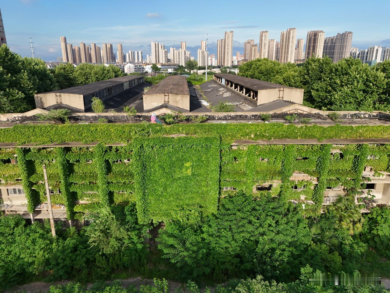 蚌埠作为老牌工业重镇，昔日凭借柴油机厂、空压机厂、机床厂、水泵厂、拖拉机附件厂“