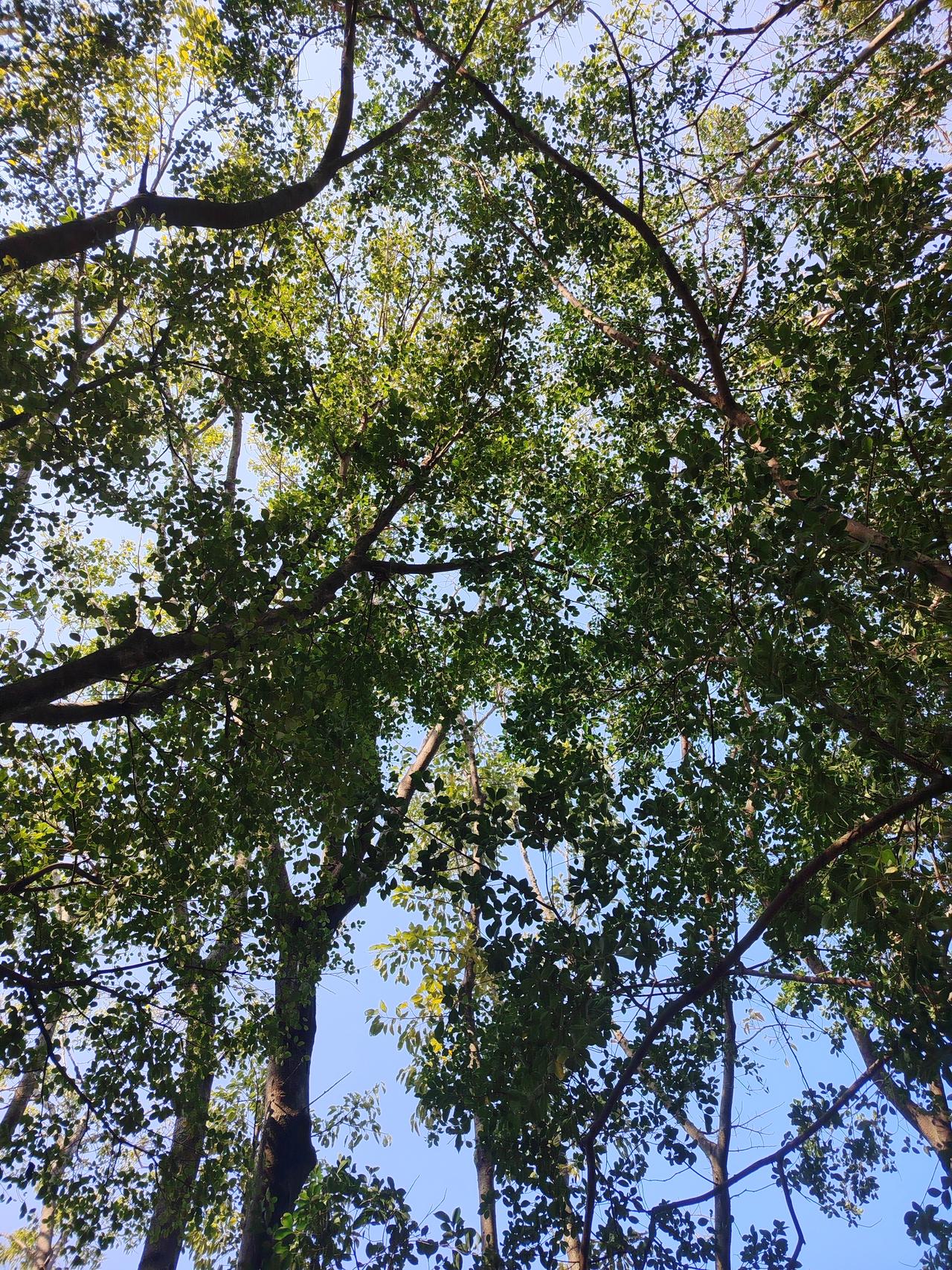 我学会了闭嘴！
我学会了闭嘴，是因为我发现我说的越多，那么错的就会越多，我说的越