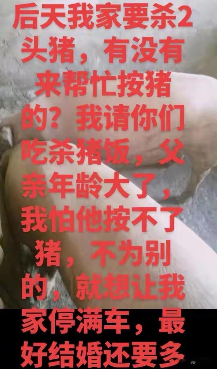 看热闹看进后厨！男子围观杀猪被拉去掌勺，一场意外竟开启主厨生涯

浙江衢州的陈师