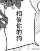 以下四张图分别是：独孤月第一次见到马蓝星belike大家知道独孤月狂热喜欢马蓝星