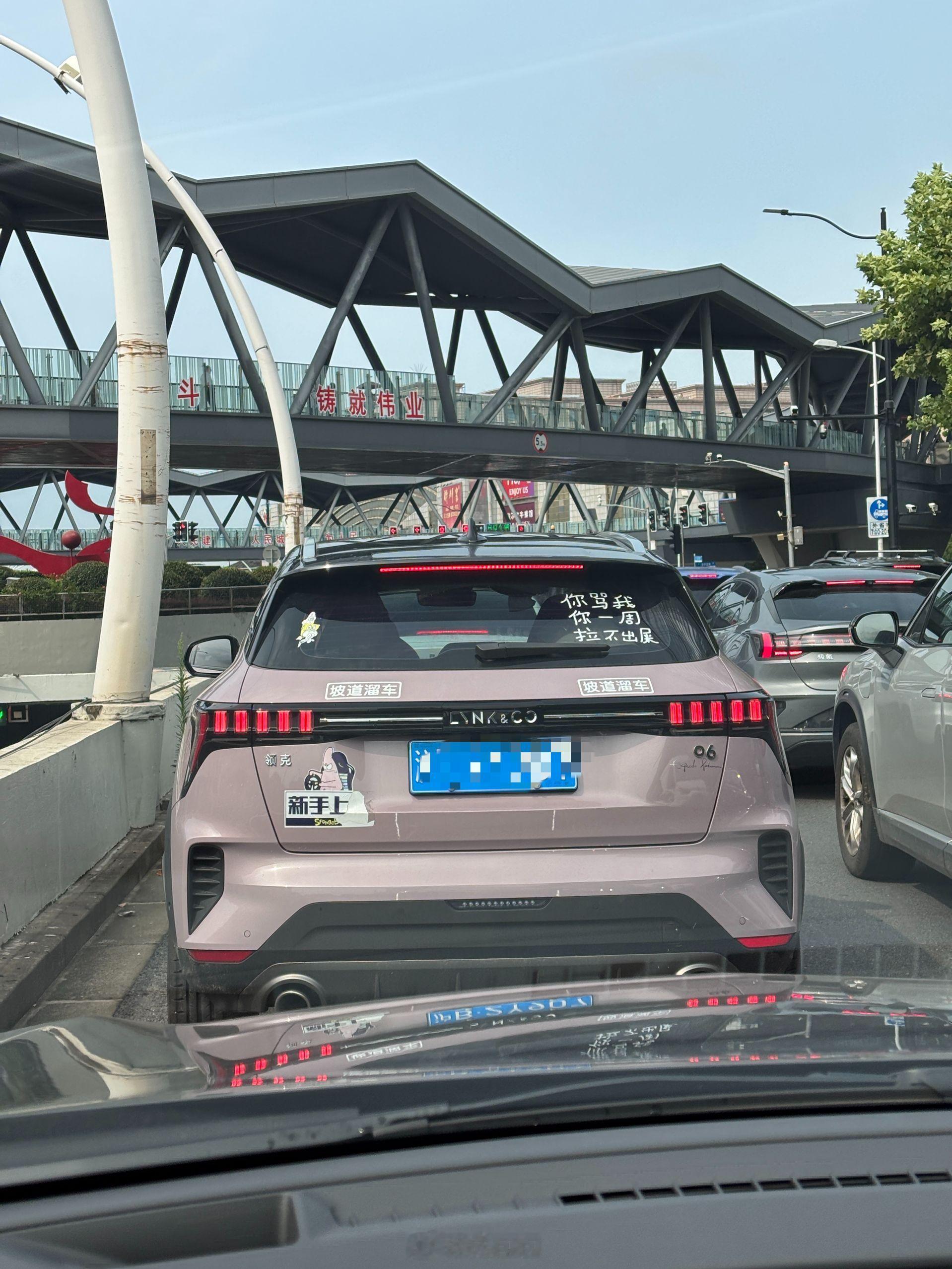 领克的车主都那么有才吗？[doge][doge][doge]06应该是女性车主多