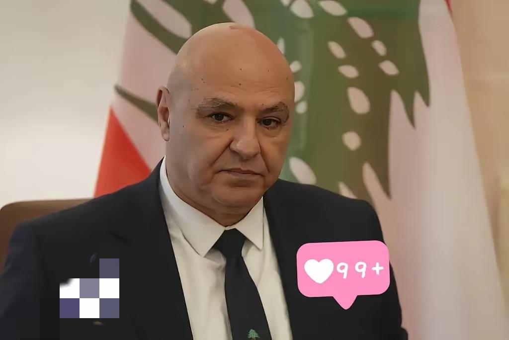 黎巴嫩新消息！
据黎巴嫩方面21日消息，以军20日空袭黎巴嫩东部贝卡谷地和黎巴嫩