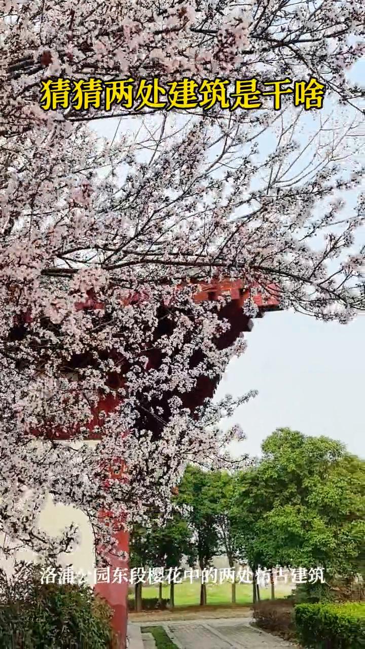 猜猜两处建筑是干什么？
洛浦公园东段樱花中的两处仿古建筑。
