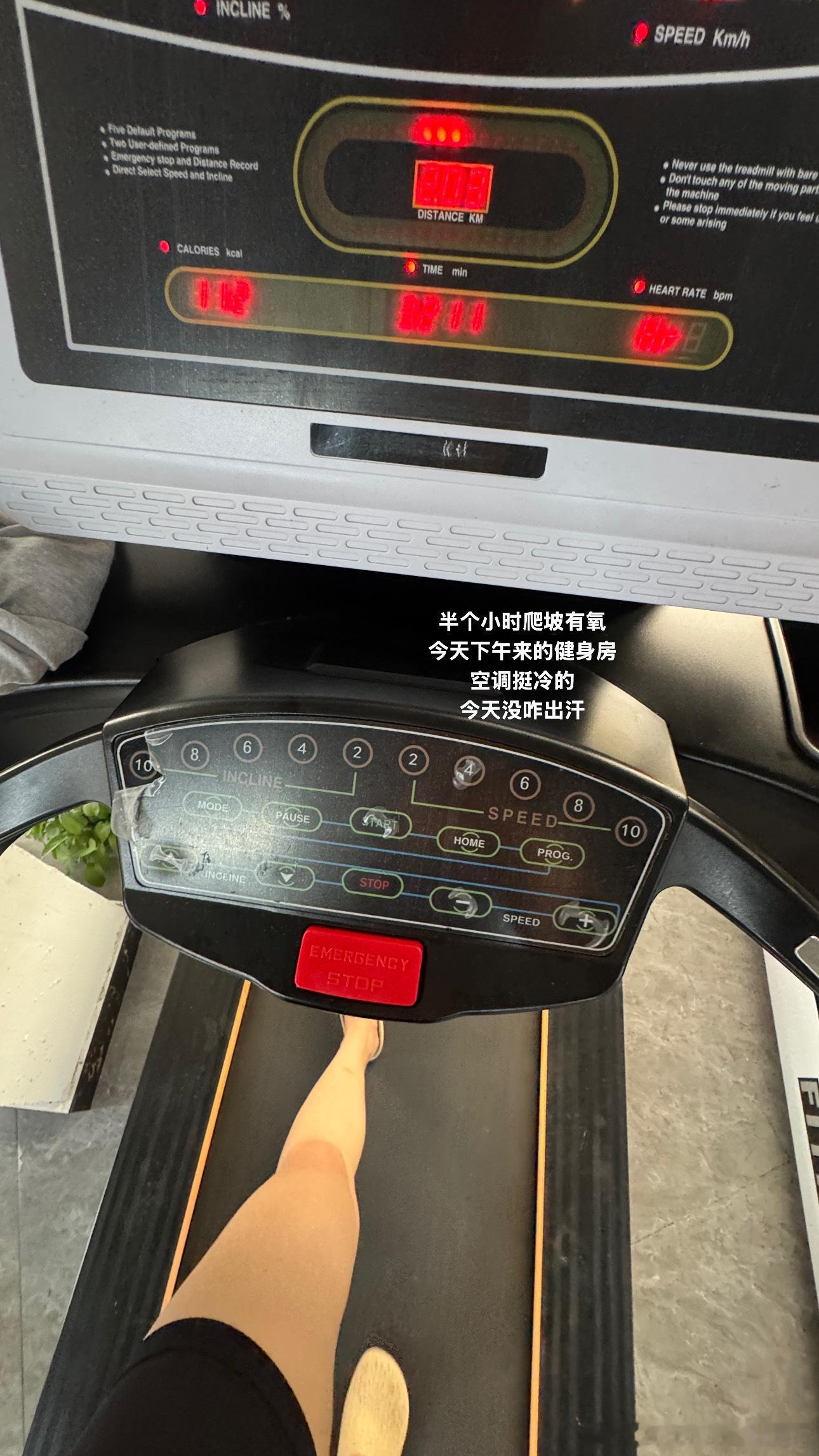 刘小小一家plog 