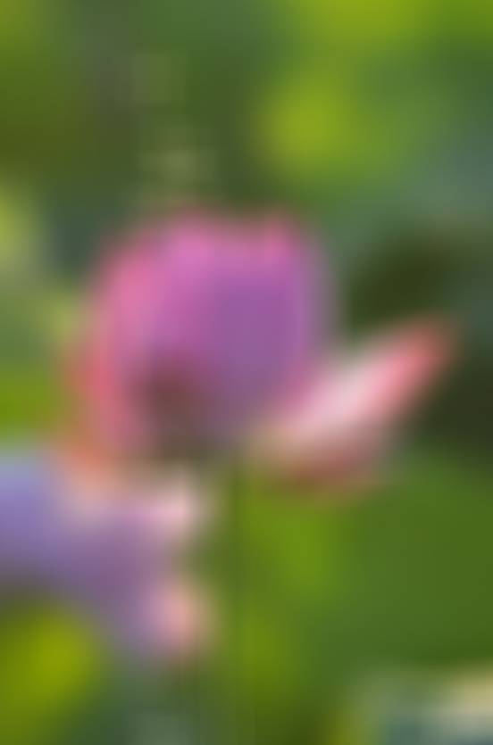 《人民日报》这十句治愈金句，治愈焦虑，稳住心态。收藏起来，送给正在努力的自己。1