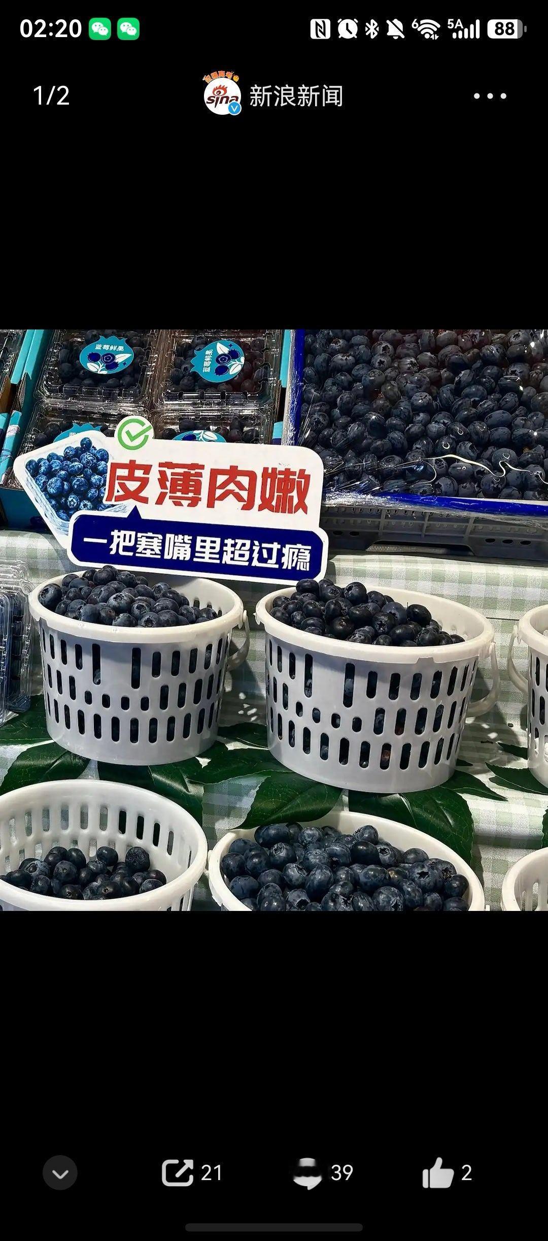 蓝莓价格几乎腰斩只有国产化上来，价格才会便宜 上一个案例是阳光玫瑰葡萄，好几年前