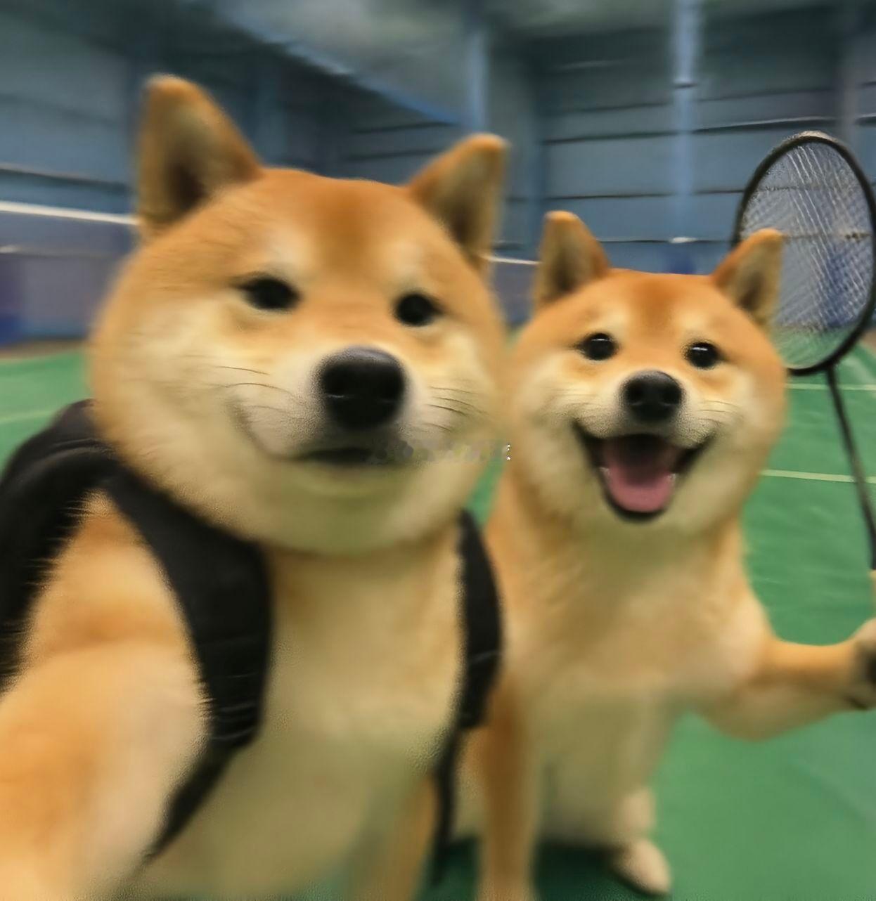 暴汗🏸 ​​​