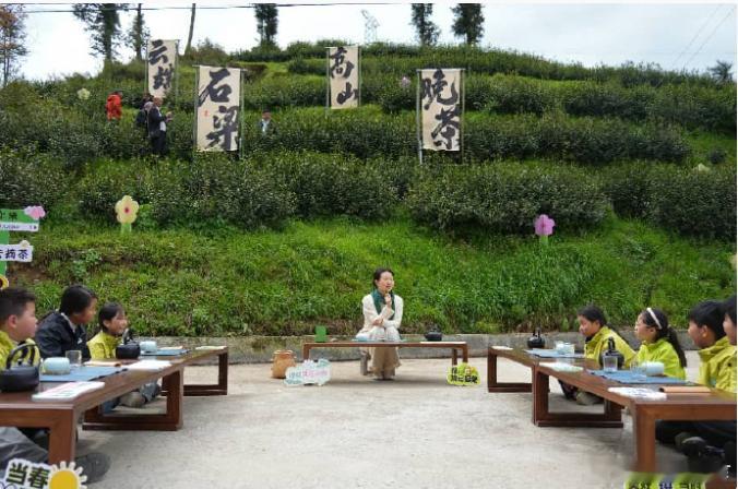 一片茶叶变成台州这个小村的共富金叶子天台石梁双溪村开茶节迎客，晚熟茶借合作社破局