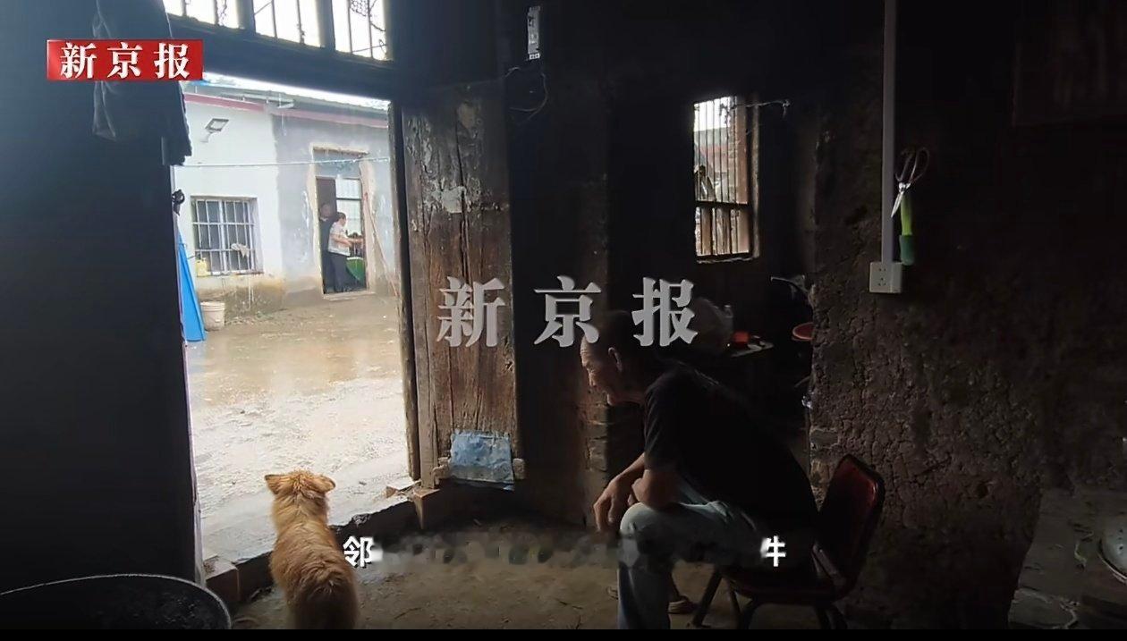 河南农商行骗贷手法多样存在的问题，不只骗低保老人贷款疑似伪造字迹放贷担保就这几项