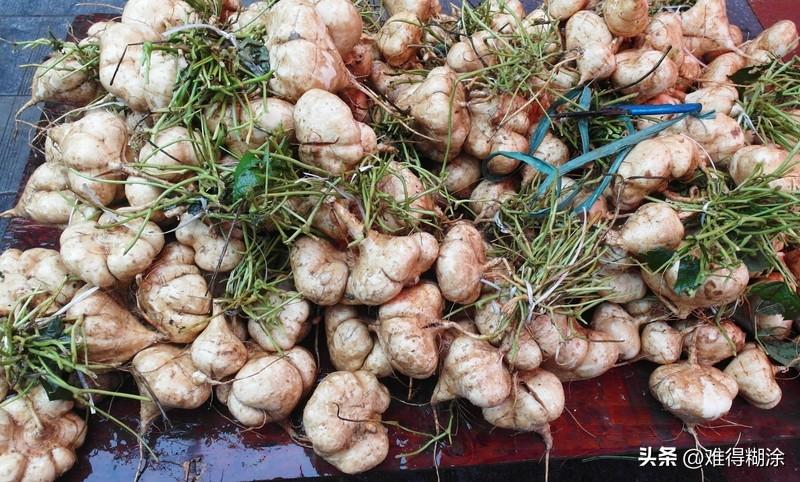 红薯这东西，各地叫法差异大得很！北方好多地方叫“地瓜”，冬天街头烤地瓜香飘一路，