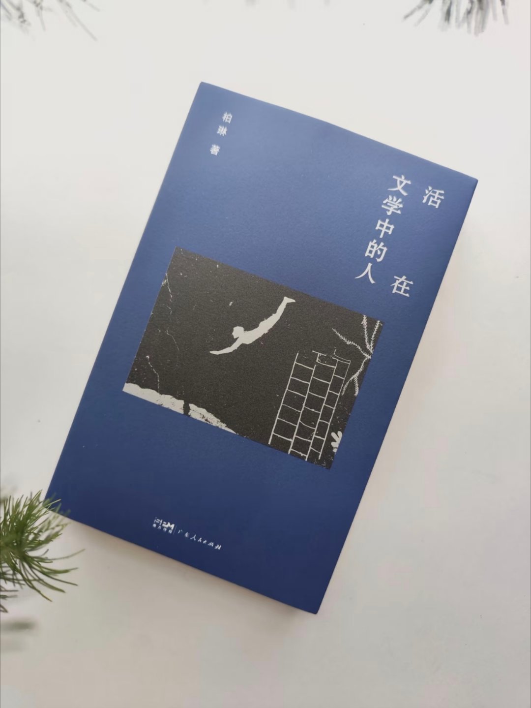 一个女人，该如何体面地凋零 