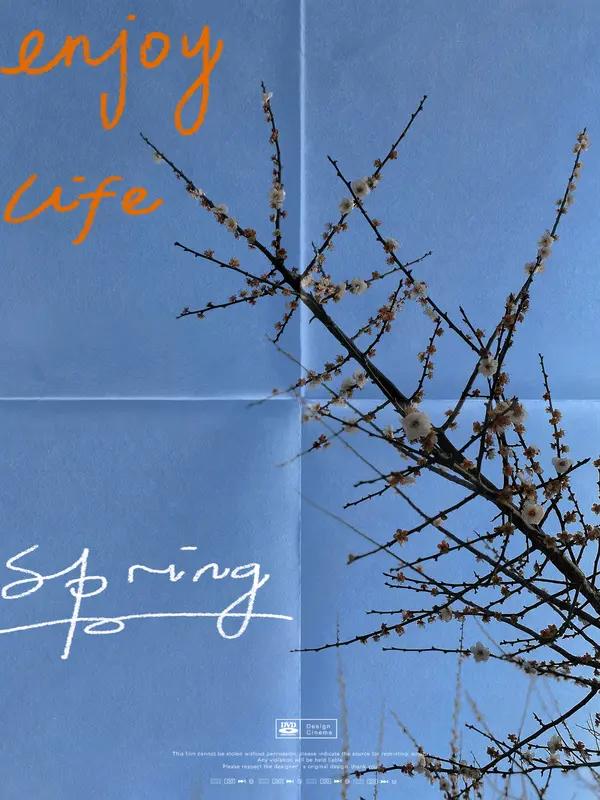 春日生活打卡季