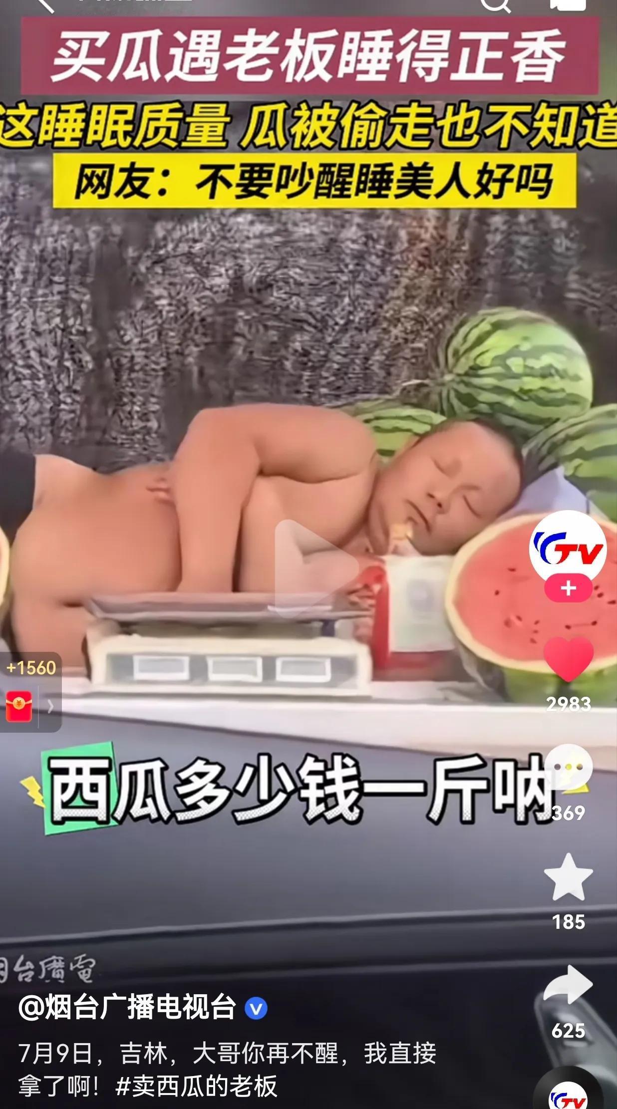 妈呀！这心也太大了吧！西瓜被人偷完了，估计都不会被发现的，果然，只要睡眠好，哪里