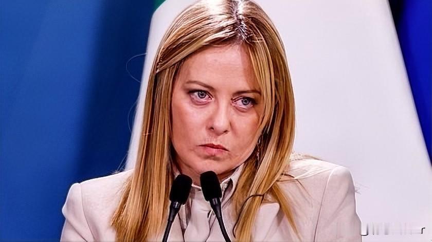 保持冷静！就在昨天，意大利总理梅洛尼向欧洲国家督促道，呼吁不要与美国对抗，否则将