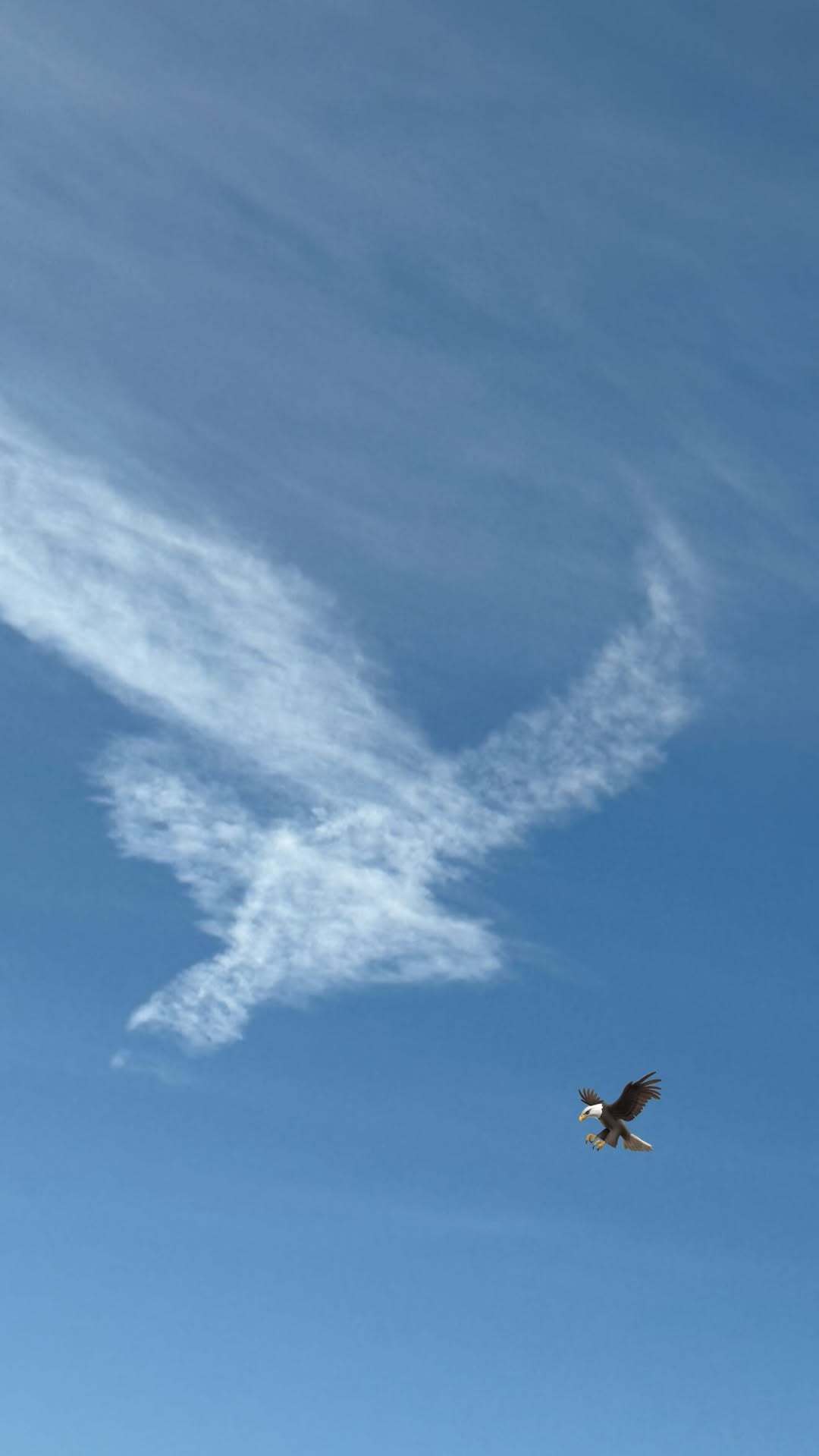 杰伦分享🦅☁️ ​​​