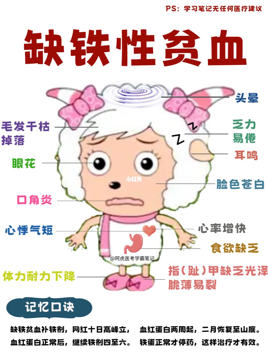 阿虎医考医学生学霸笔记：缺铁性贫血