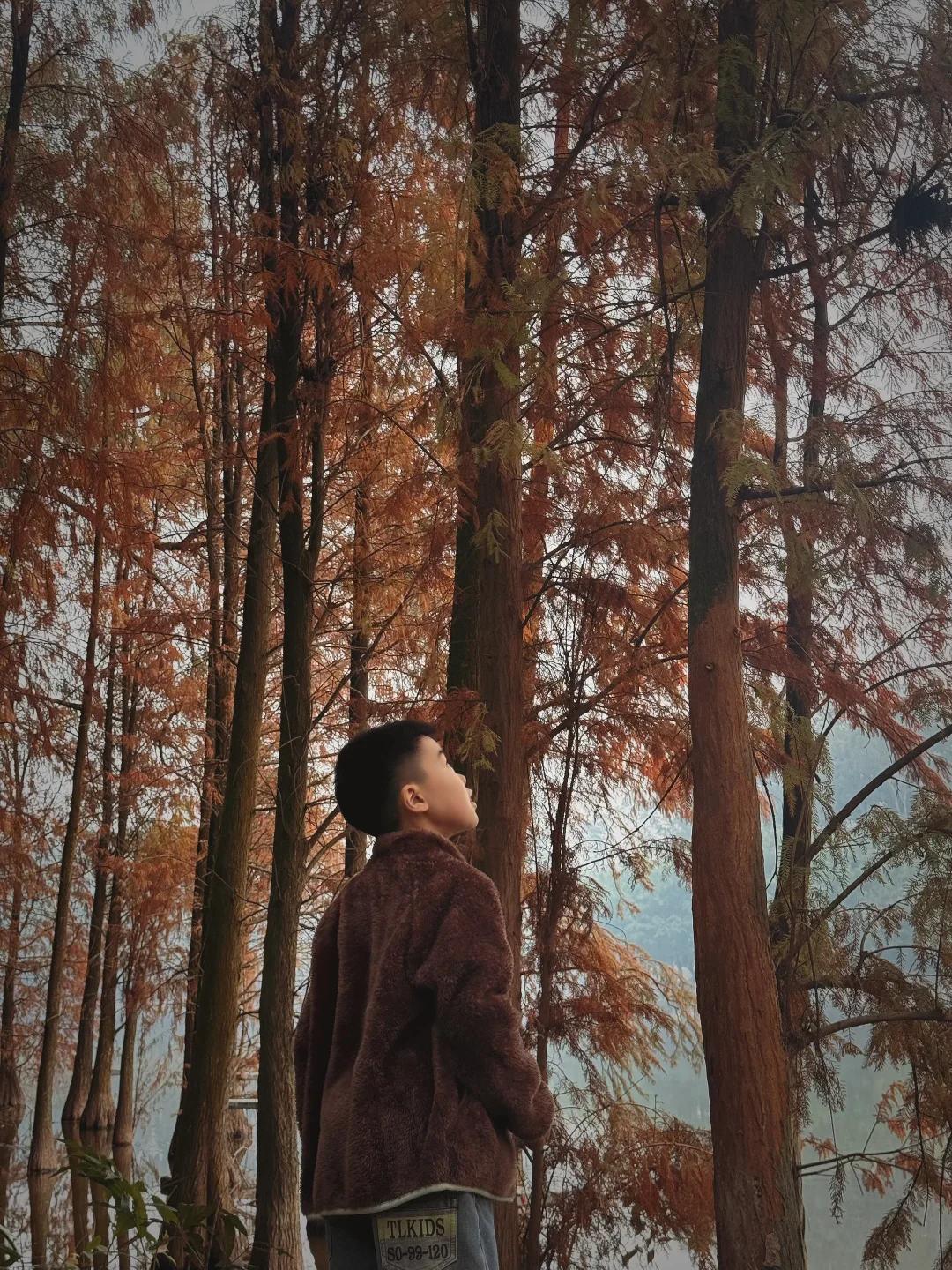 感谢孩子体质差，让我开启了学习中医的大门