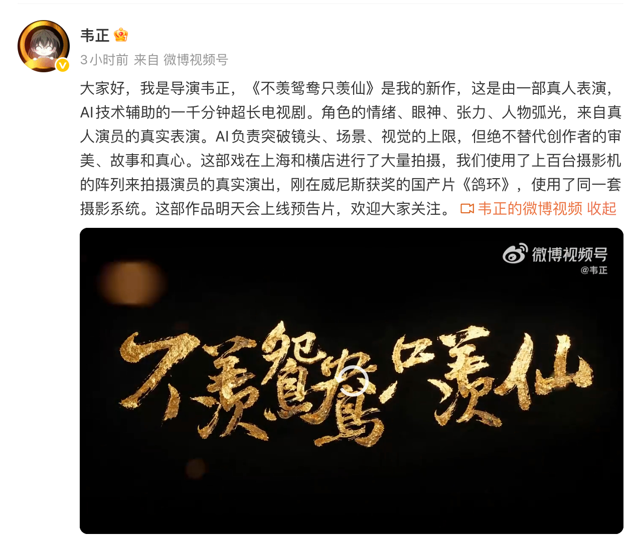 导演回应沈羽洁陈鹤一AI剧争议 ​​​