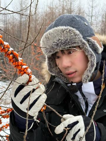 鹭卓打沙棘日常  鹭卓这沙棘嘎嘎酸甜可口  鹭卓的打沙棘日常，宛如一首激昂的交响