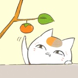 圆滚嫩热聚娱乐