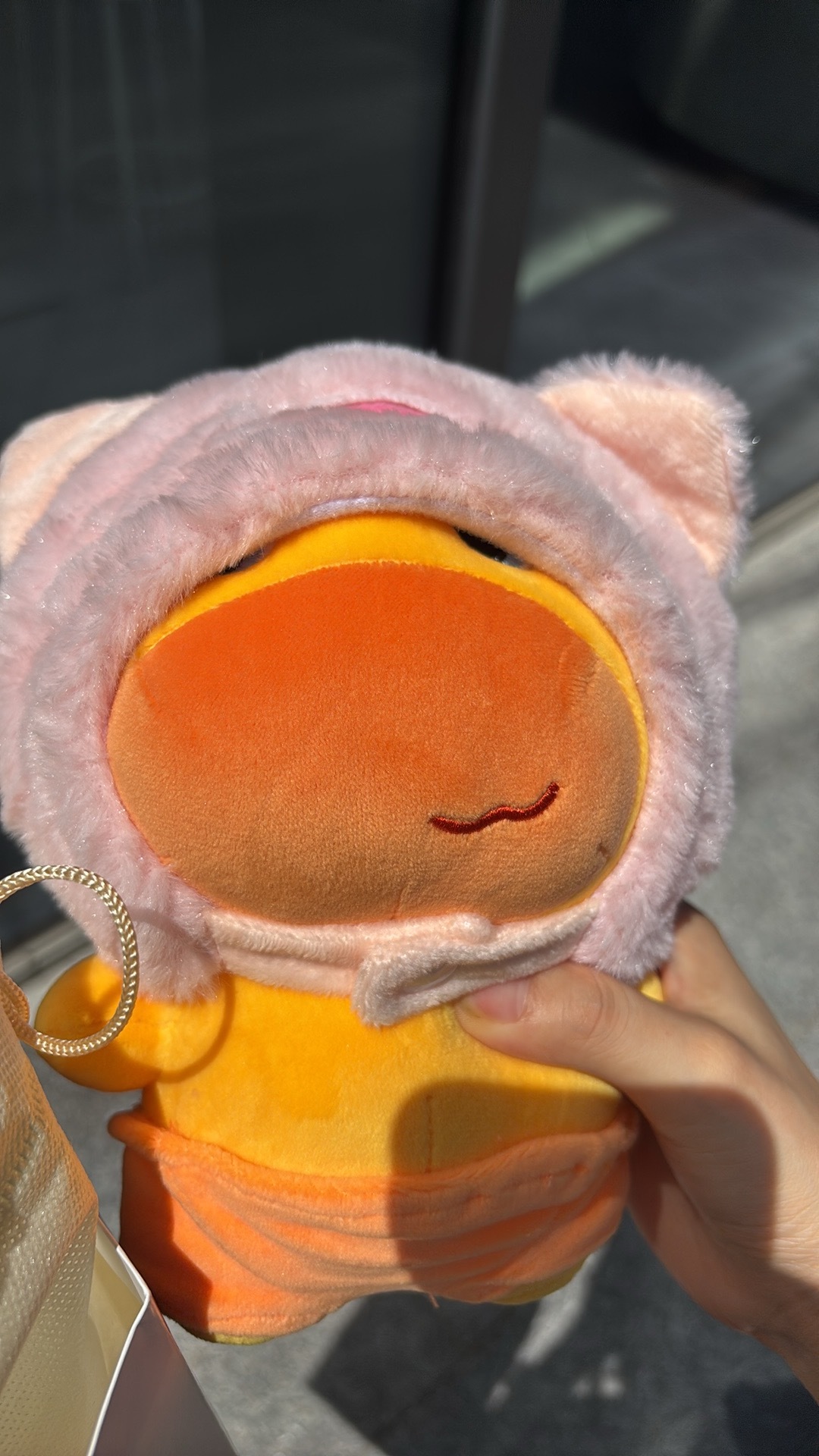 有噜噜大王了🥺