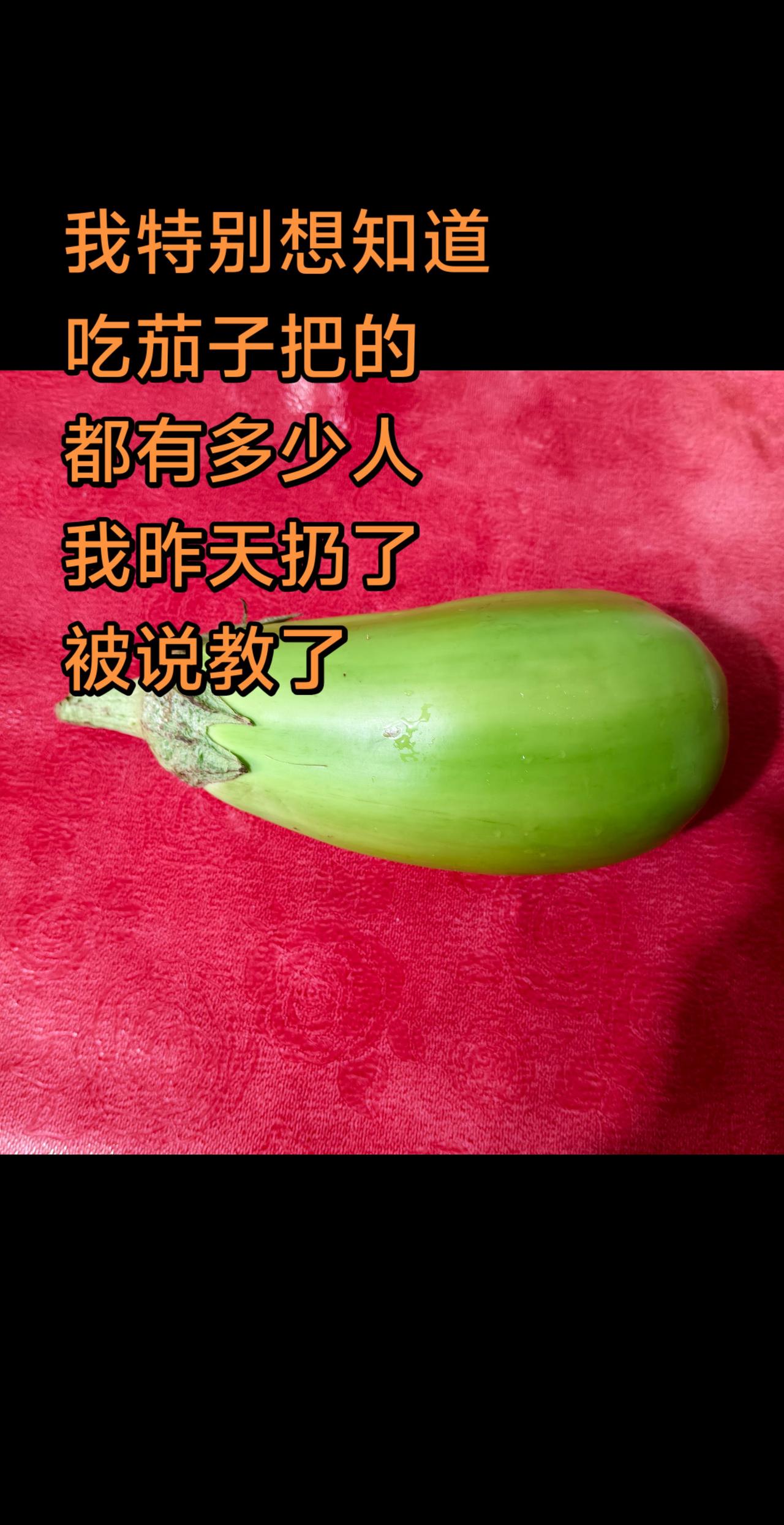 茄子把你吃过吗？
