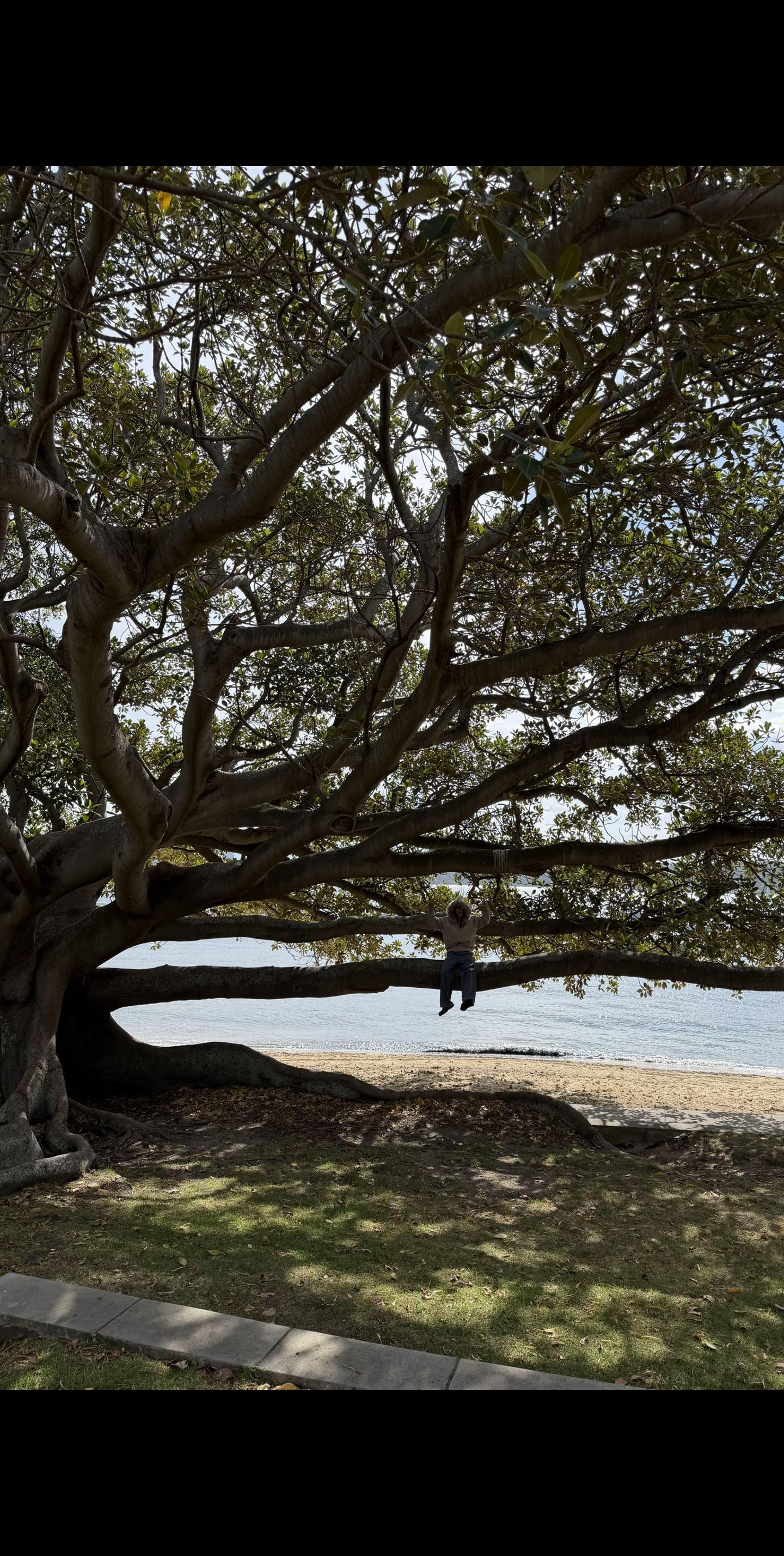 好幸福 这里是天堂吗。太美了吧简直
