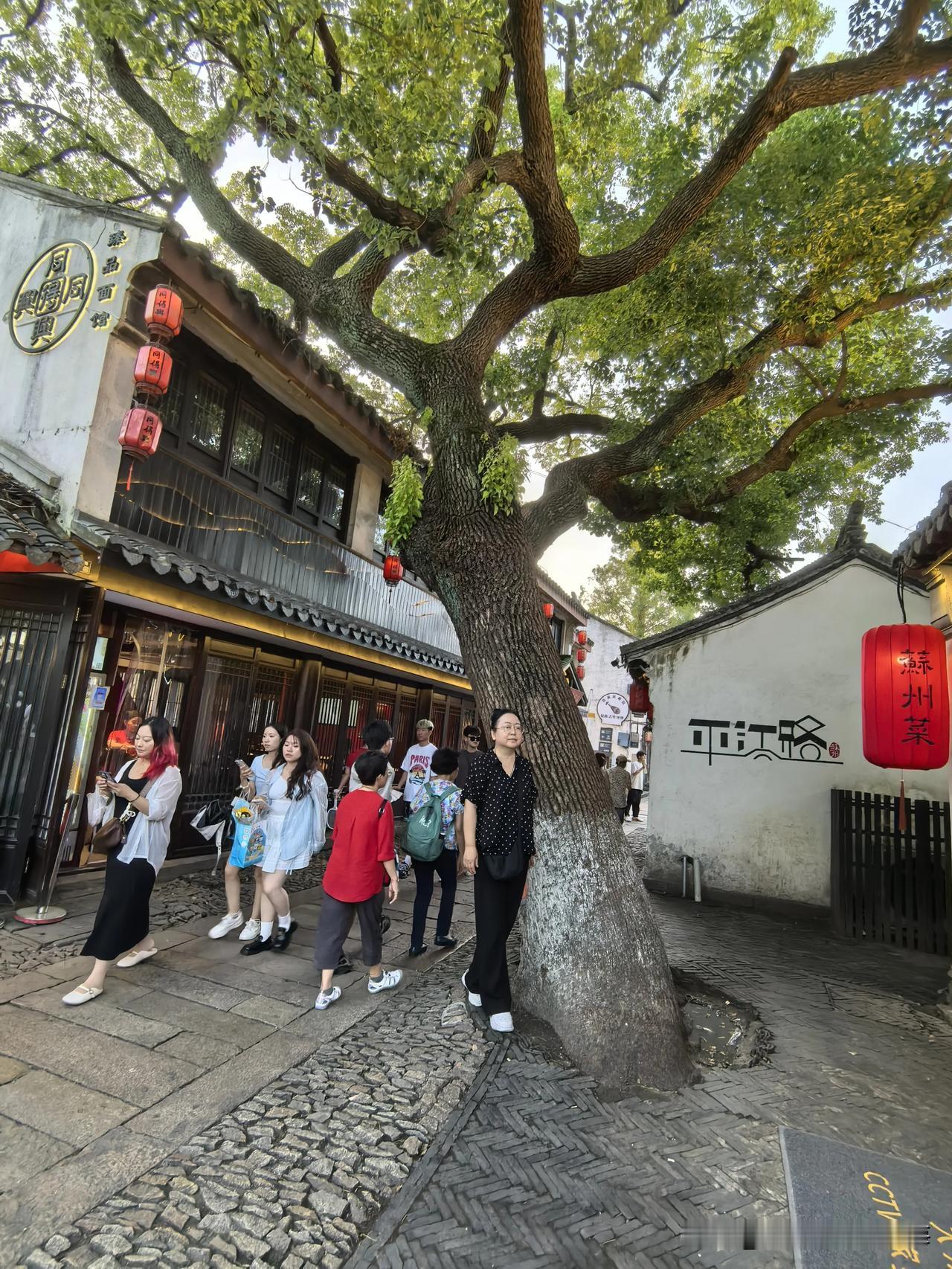 苏州是江南水乡，如诗如画，是东方的威尼斯。

我一直都想去苏州游玩，毕竟从小就听