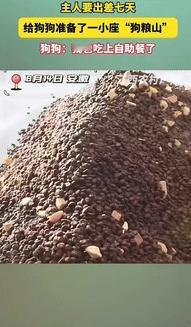 “笑岔气了！”一狗主人要出差7天，怕狗狗饿到肚子，提前给狗狗堆了一小座“狗粮山”