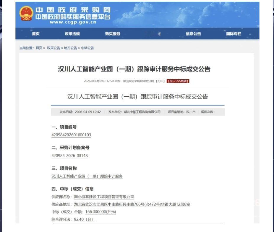 汉川人工智能产业园（一期）跟踪审计服务中标成交公告