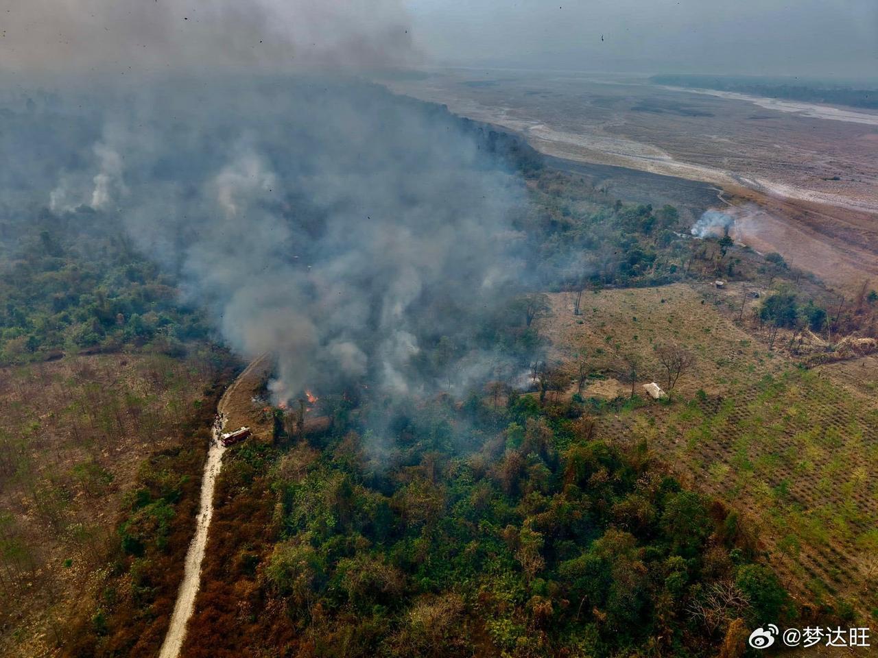 据藏南当地媒体报道，3月7日， 位于藏南东思昂地区的印度西加尔军事基地附近的森林