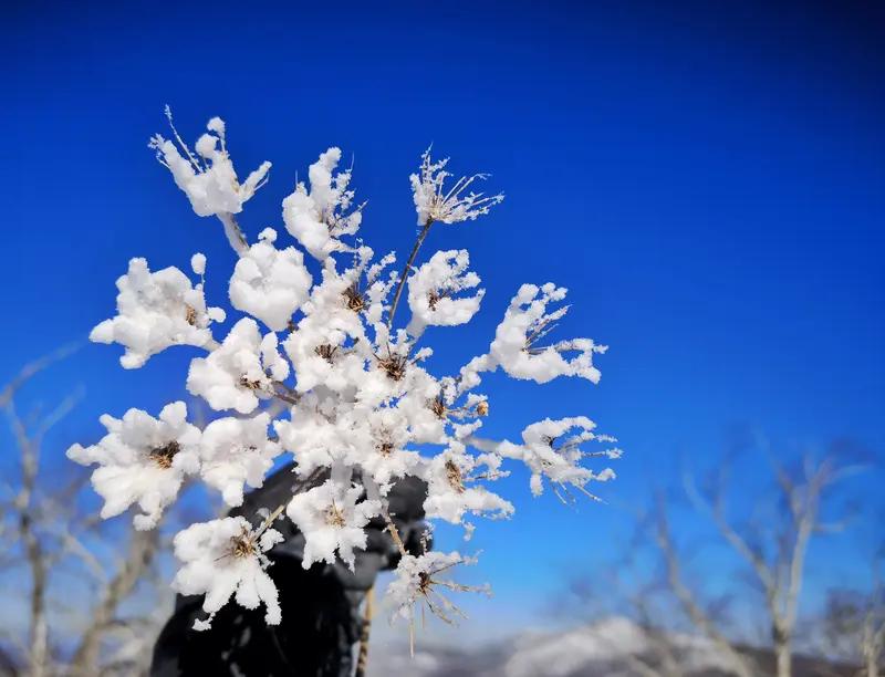 你能对出“风摇玉树琼花舞”下联吗月映寒梅瘦影斜