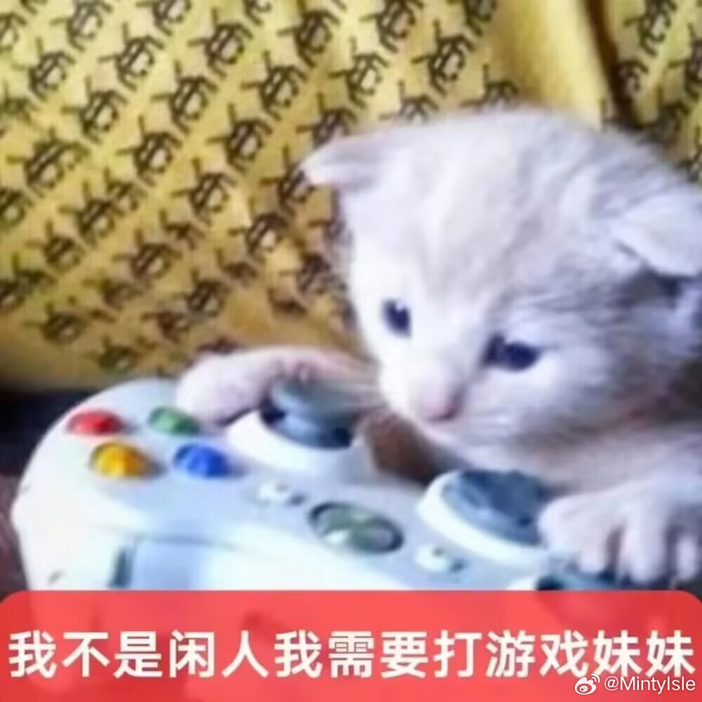 以后小女子就是手动续火了你们会不会很感动 