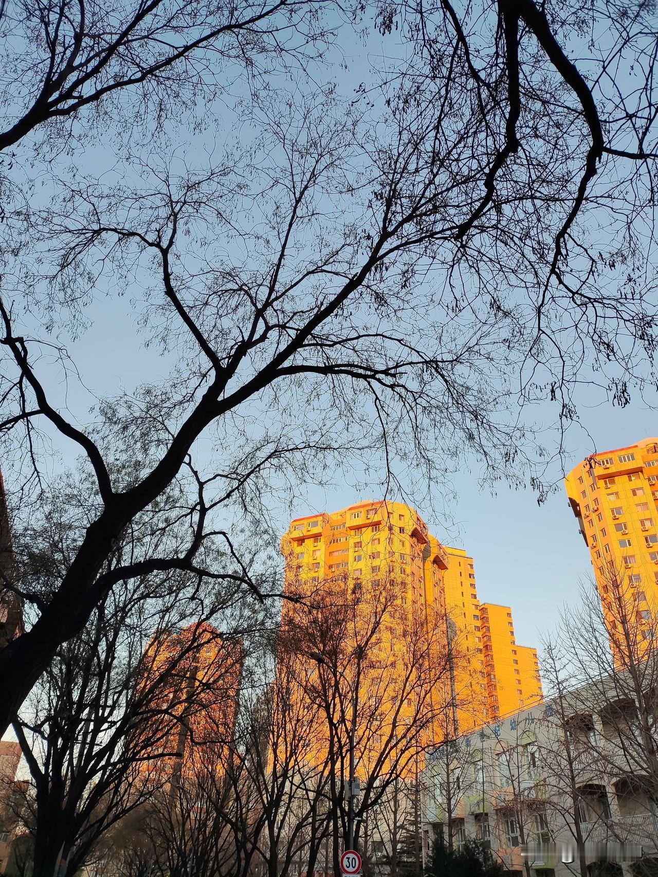 2000万收入罚没款才200多万，不太合理吧？