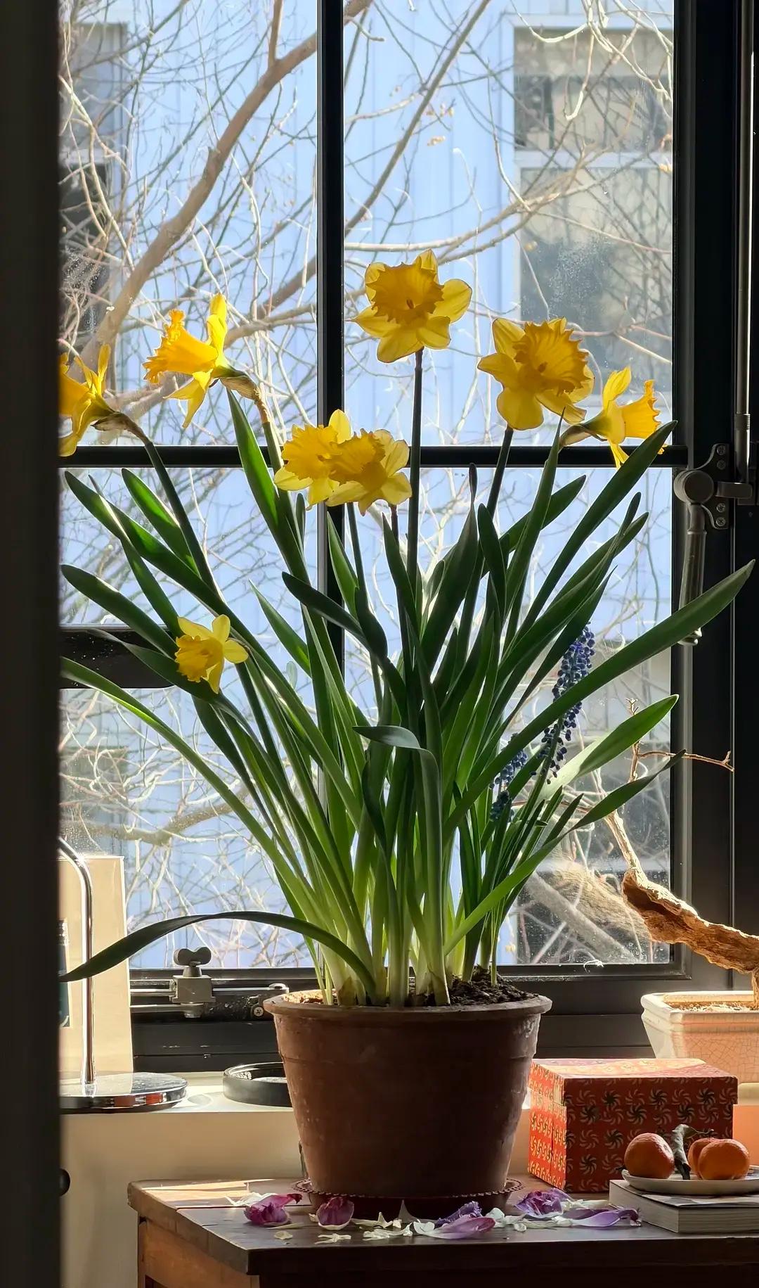 过春节规矩要谨记：

1.除夕贴对联，一定要男性去贴。
2.大年初一开门，一定要