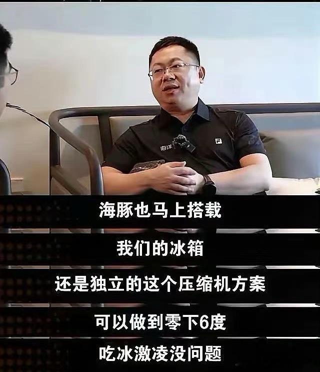 车载冰箱要卷到10万级了？透露，海豚也马上搭载压缩机冰箱，可以做到零下6度，这老
