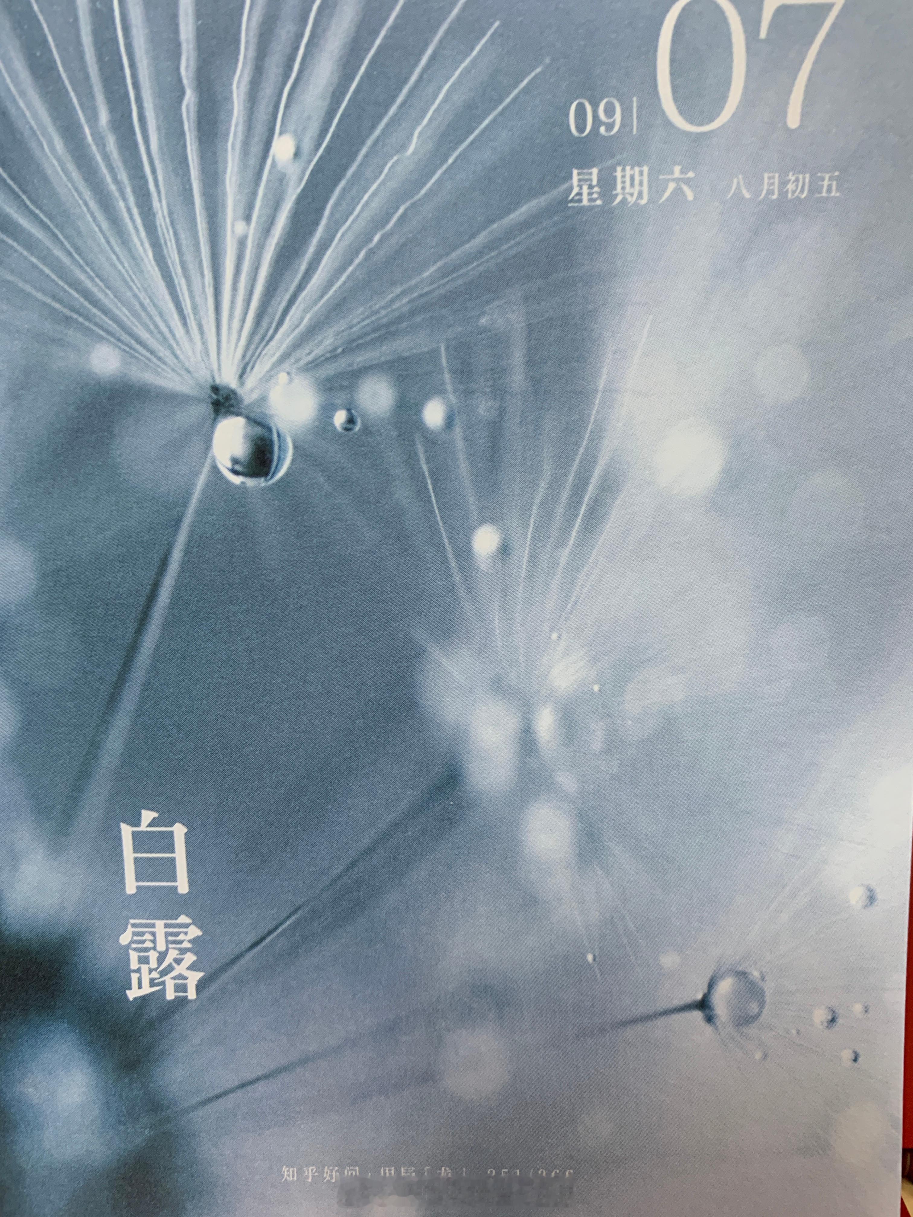 朋友们早，今儿 ​​​