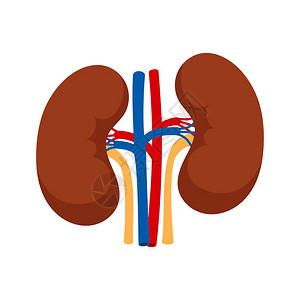 老年人肾小球滤过率下降怎么办？上周门诊好几个患者拿着化验报告来咨询，其中有一项检