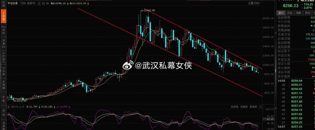 中证白酒再破前低，注意风险中证白酒和恒生科技，基本属于难兄难弟，今天两兄弟双双跌