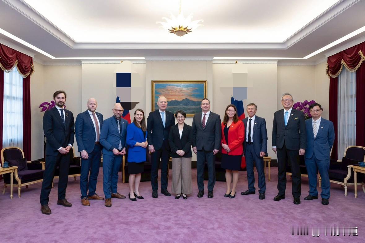 北欧议会议员一行今（5日)窜访台，萧美琴今天叫嚣，面对快速变动的全球地缘局势，台